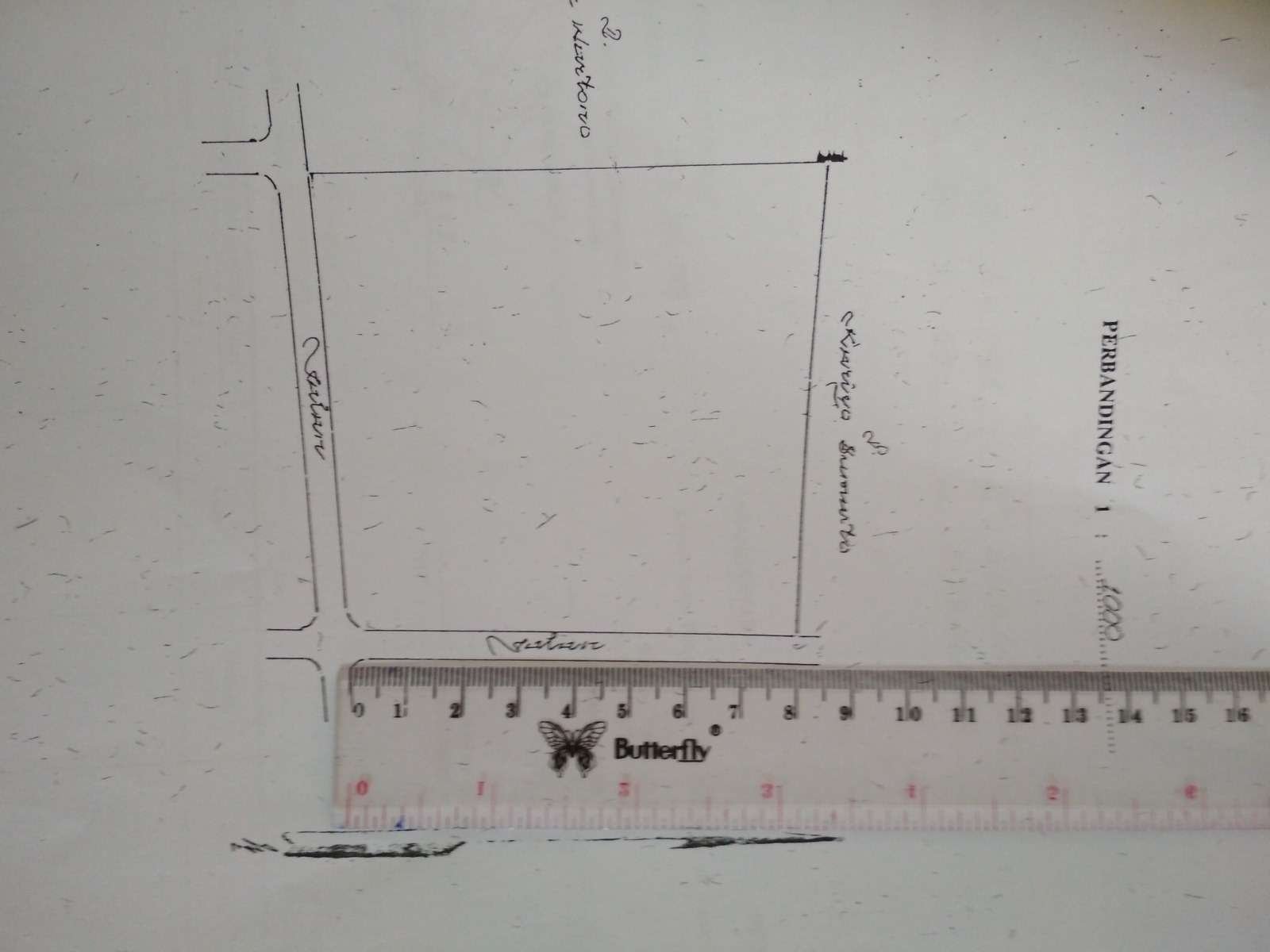 Mojogedang karet (1)