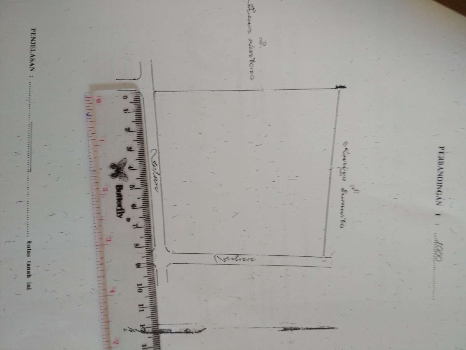 Mojogedang karet (7)