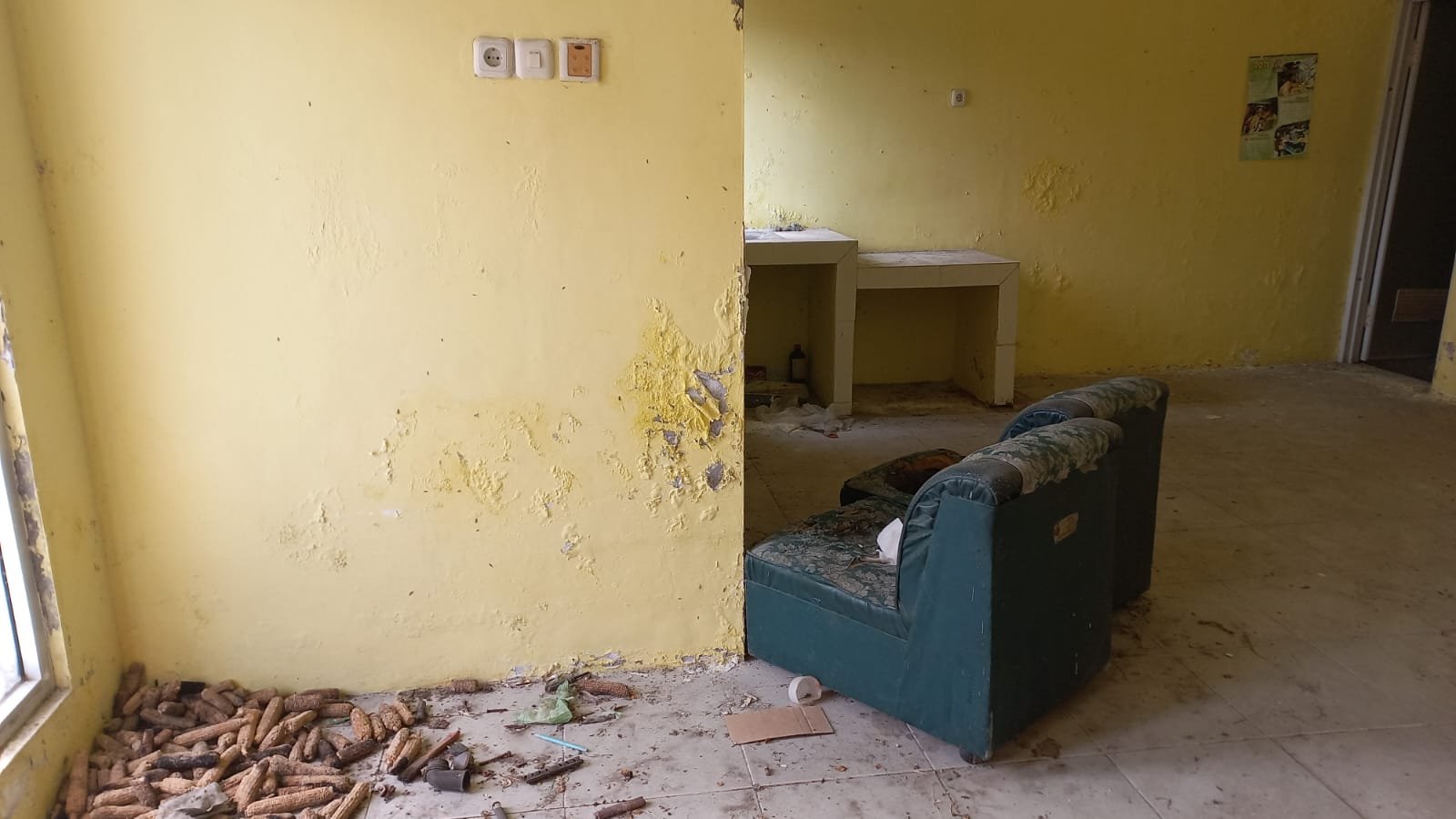 WhatsApp Image 2024-03-14 at 15.45.01 (1)