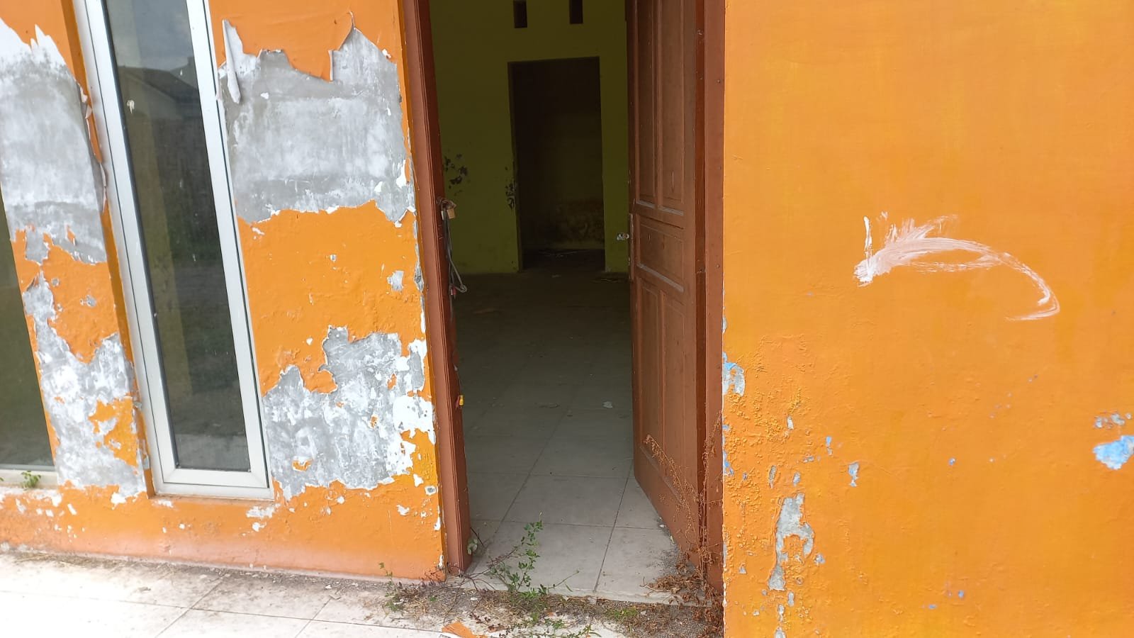 WhatsApp Image 2024-03-14 at 15.45.01