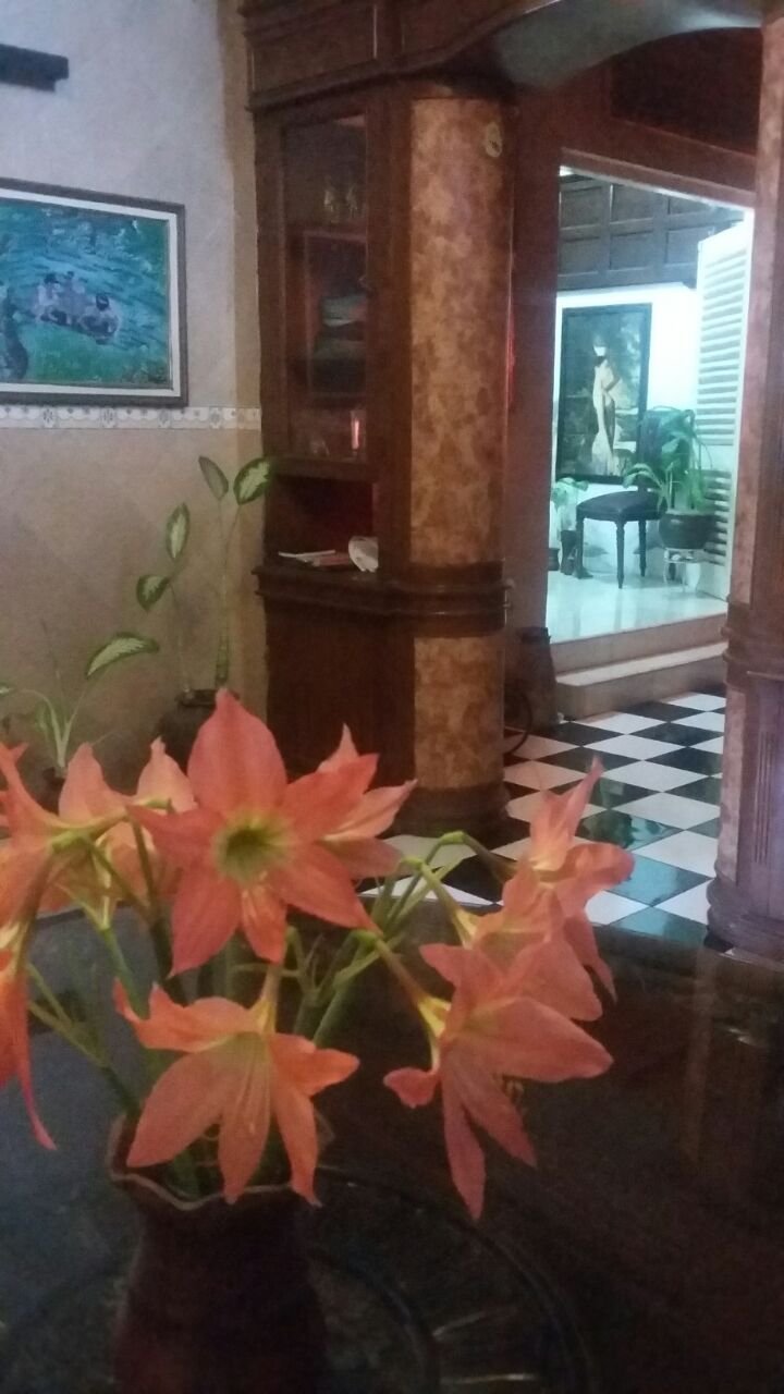 WhatsApp Image 2024-04-16 at 15.26.24