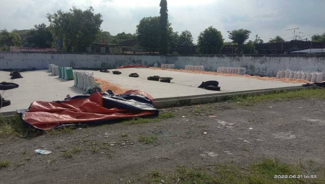 WhatsApp Image 2022-07-11 at 11.03.46