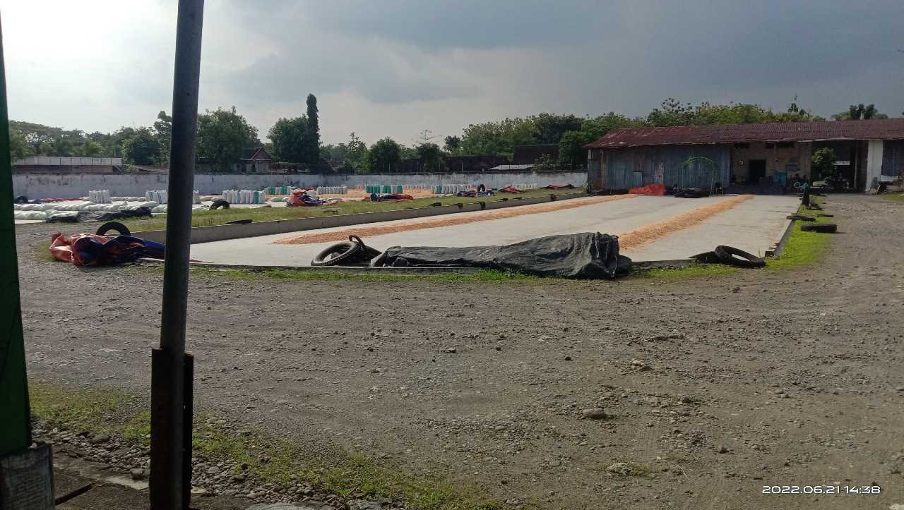 WhatsApp Image 2022-07-11 at 11.03.58