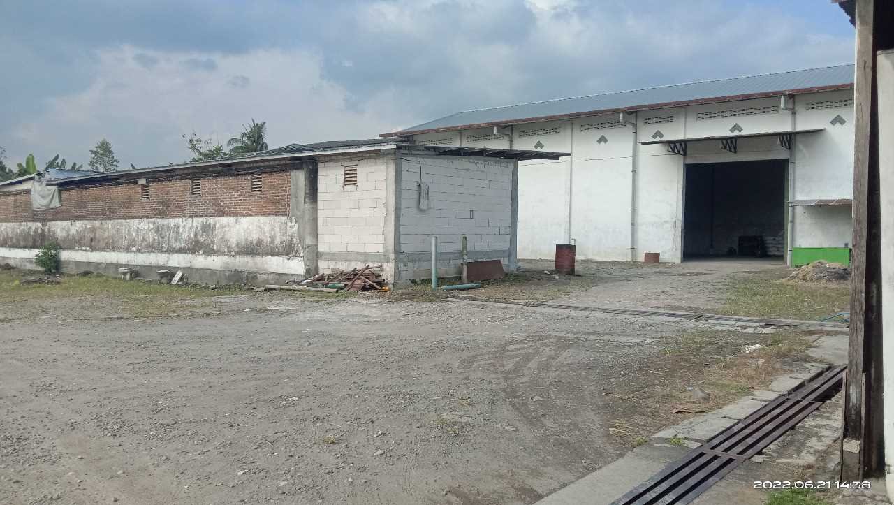 WhatsApp Image 2022-07-11 at 11.04.29