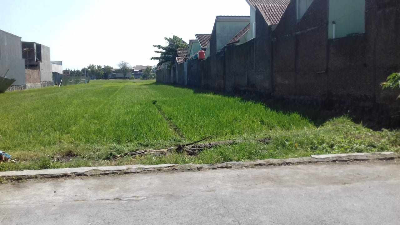 WhatsApp Image 2019-07-08 at 11.36.15