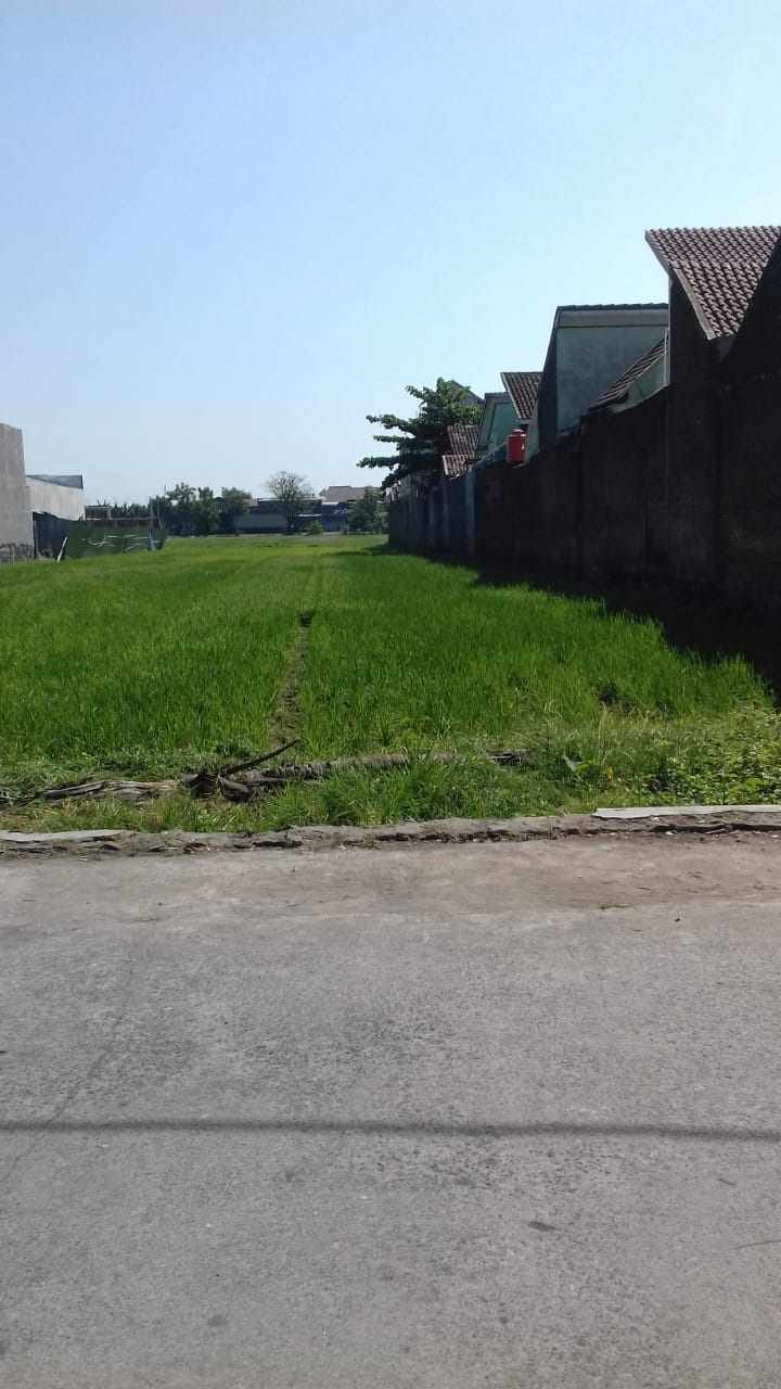 WhatsApp Image 2019-07-08 at 11.38.56