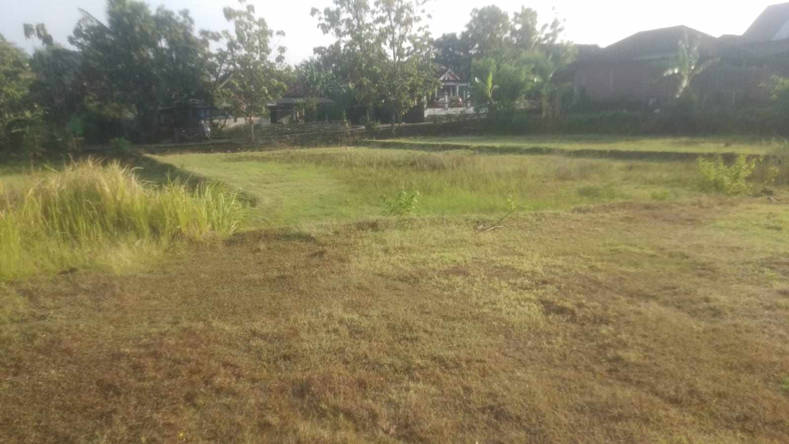 WhatsApp Image 2021-10-21 at 6.49.37 AM (1)