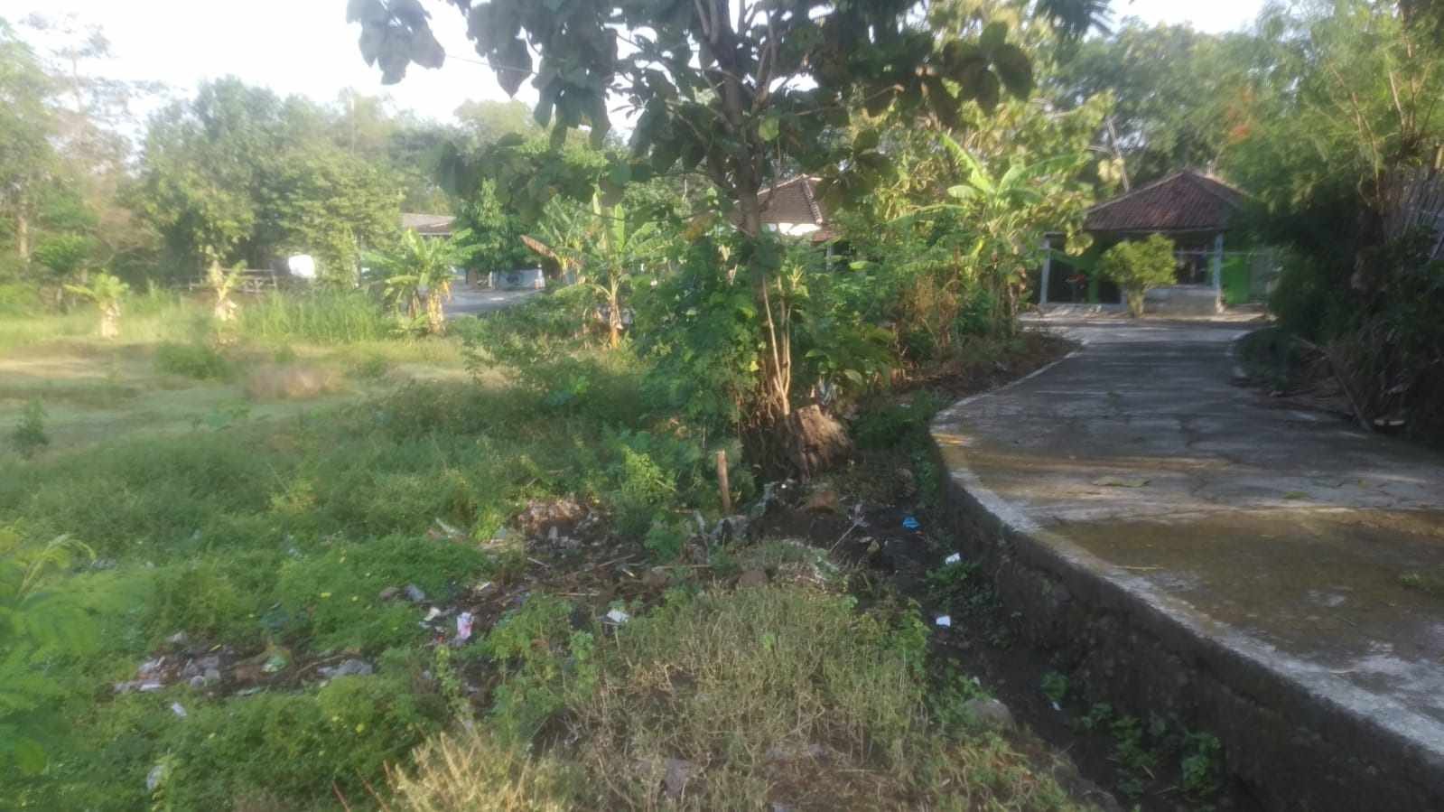 WhatsApp Image 2021-10-21 at 6.49.37 AM