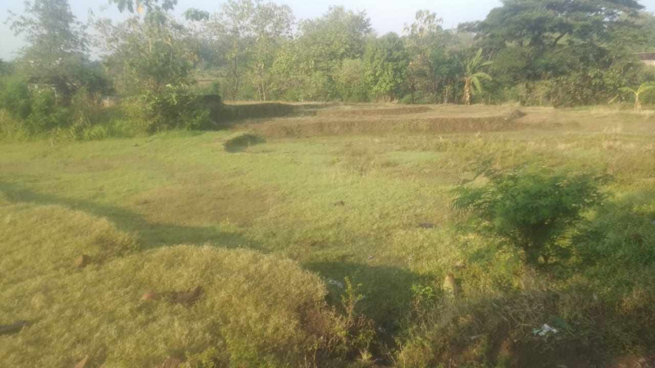 WhatsApp Image 2021-10-21 at 6.49.38 AM (1)