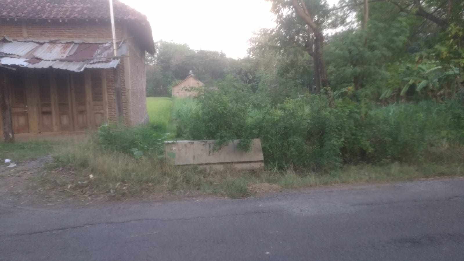 WhatsApp Image 2021-10-23 at 1.32.57 PM