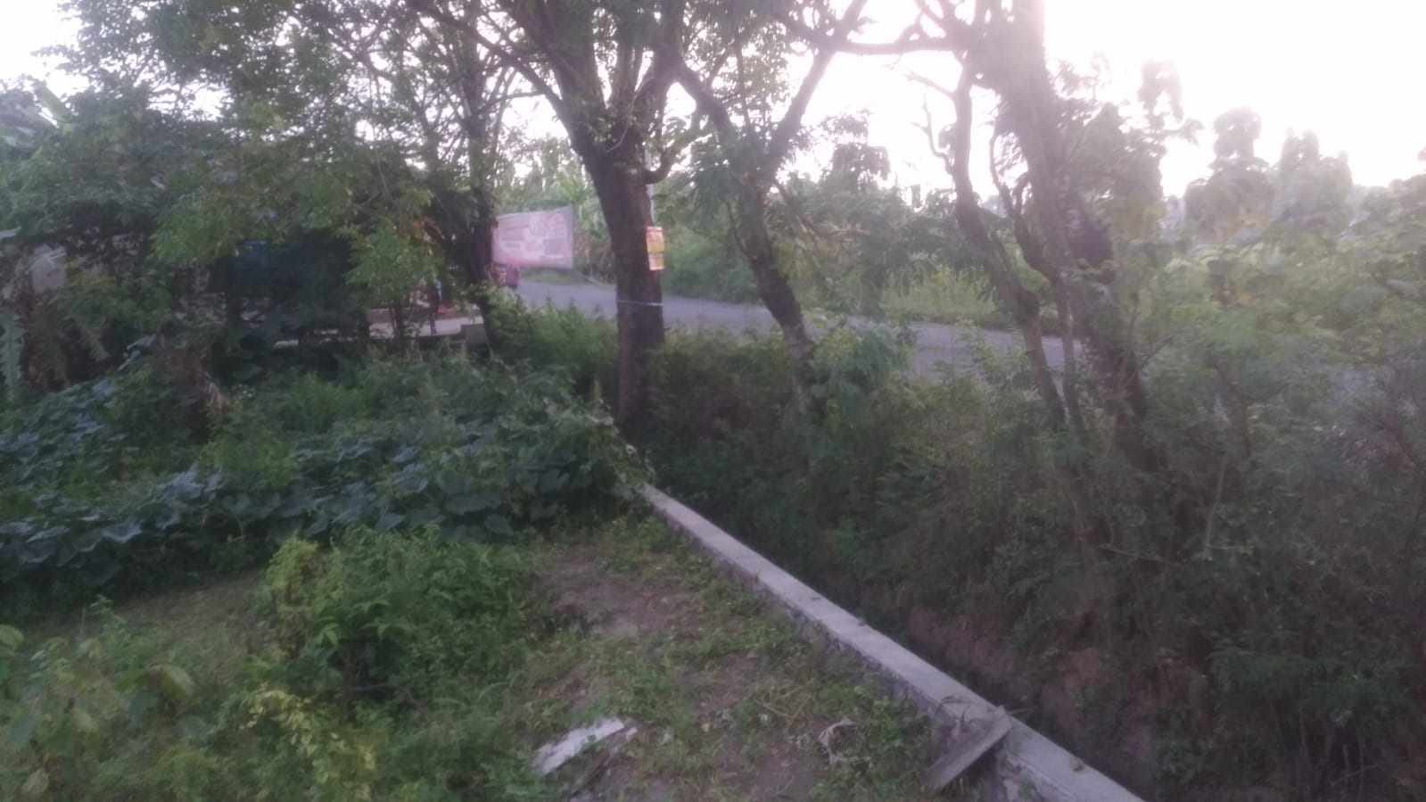 WhatsApp Image 2021-10-23 at 1.32.58 PM