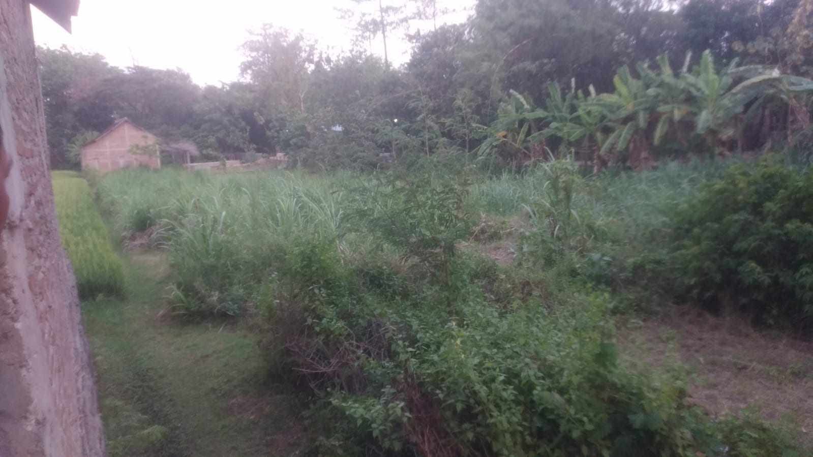 WhatsApp Image 2021-10-23 at 1.32.59 PM (1)