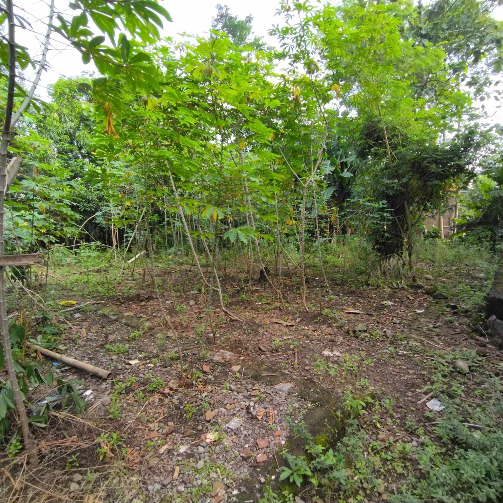 WhatsApp Image 2022-06-08 at 11.54.26 AM