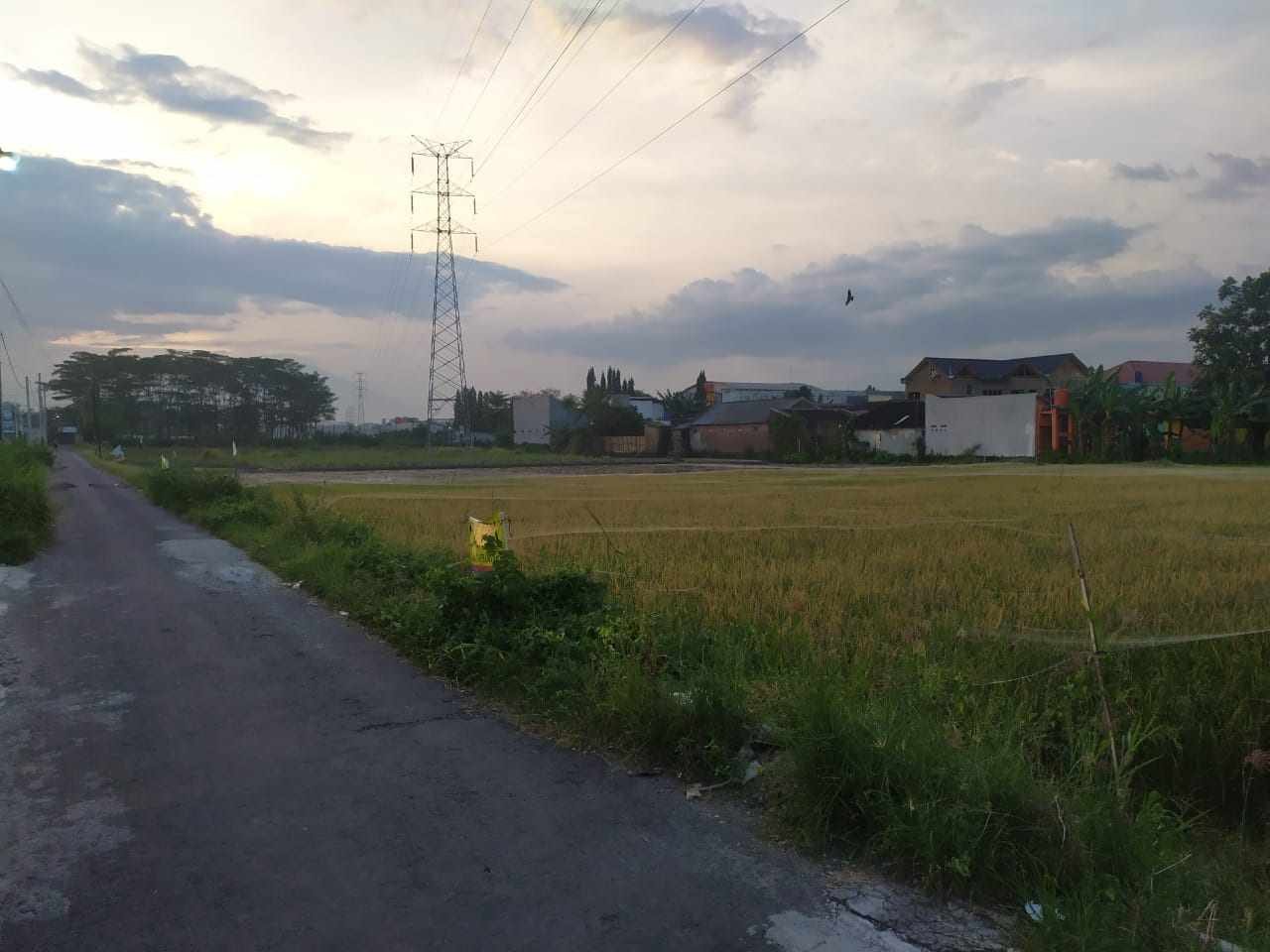 WhatsApp Image 2023-03-11 at 18.02.26 (1)