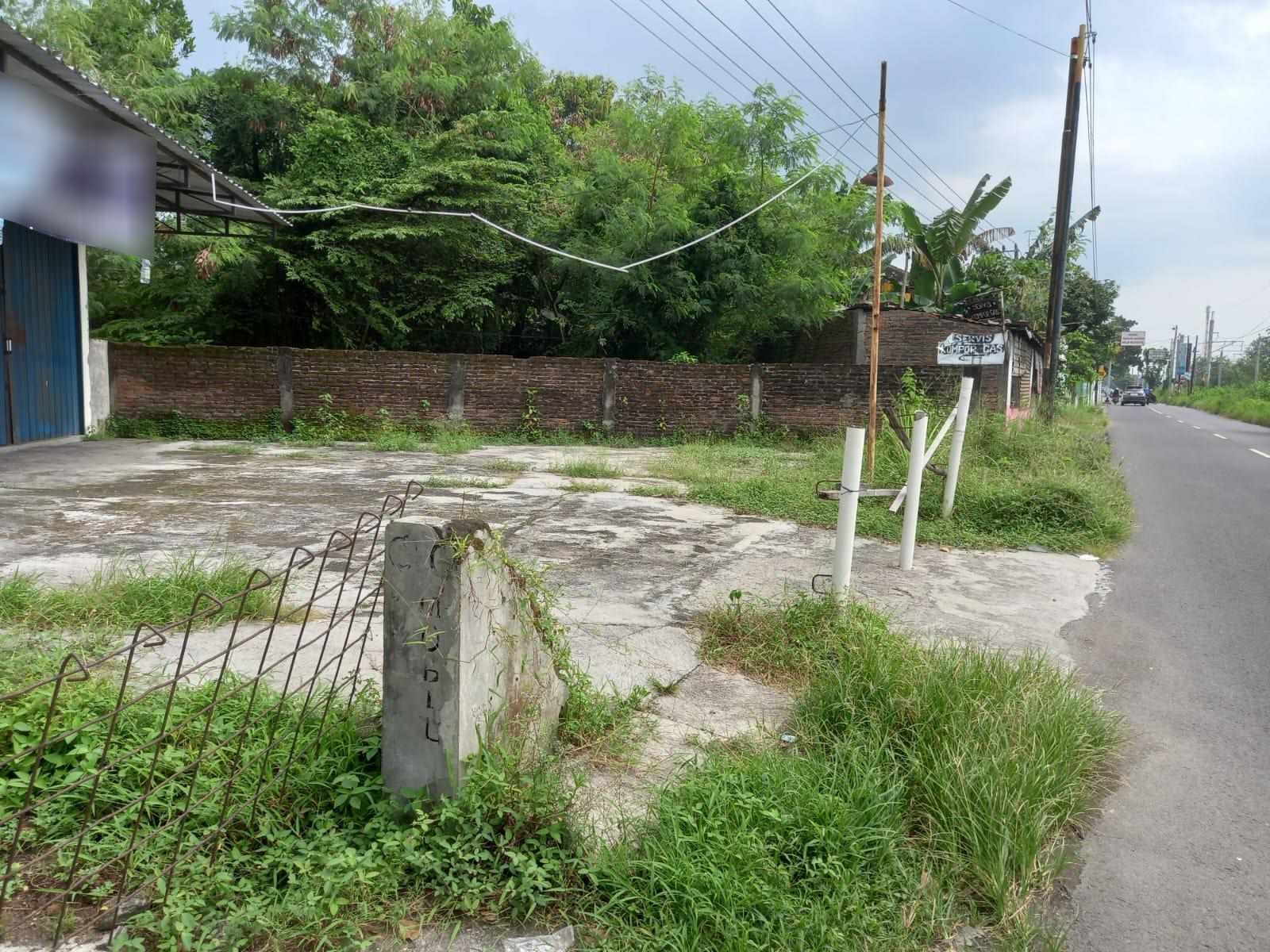 WhatsApp Image 2023-04-08 at 12.14.14 (Copy)