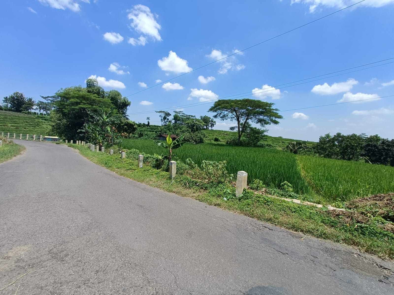 WhatsApp Image 2024-03-22 at 14.59.22