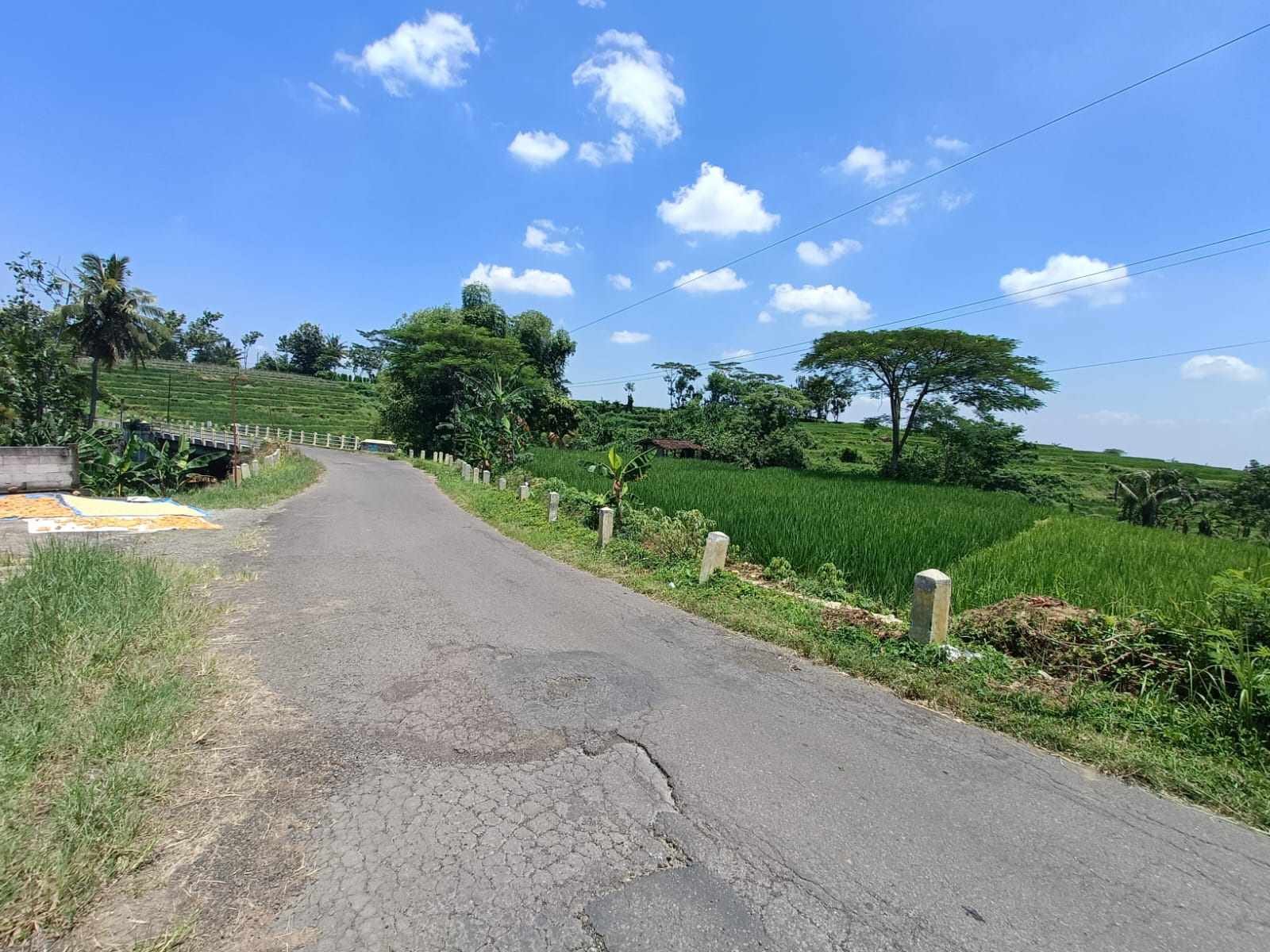 WhatsApp Image 2024-03-22 at 14.59.23