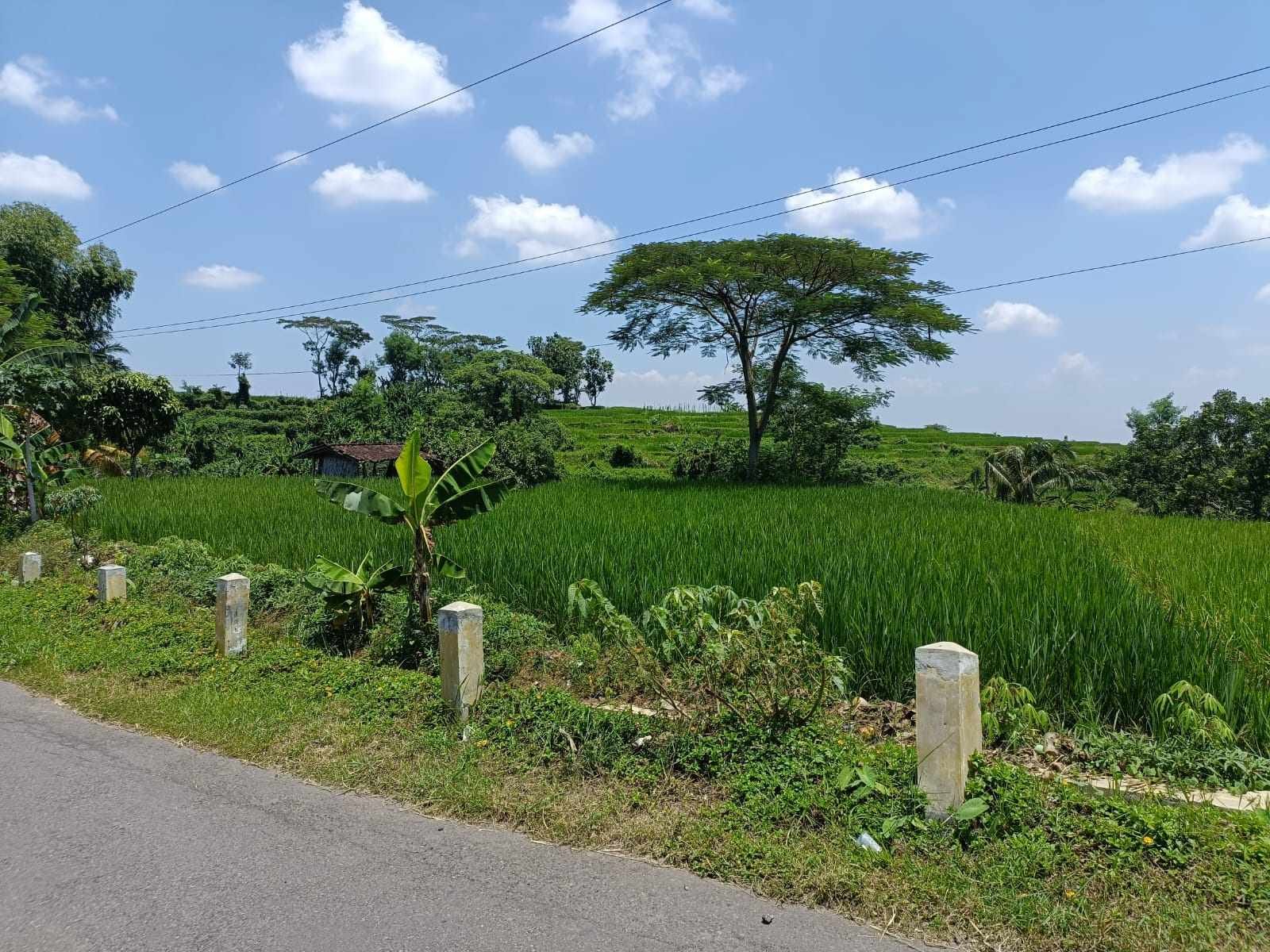 WhatsApp Image 2024-03-22 at 14.59.30