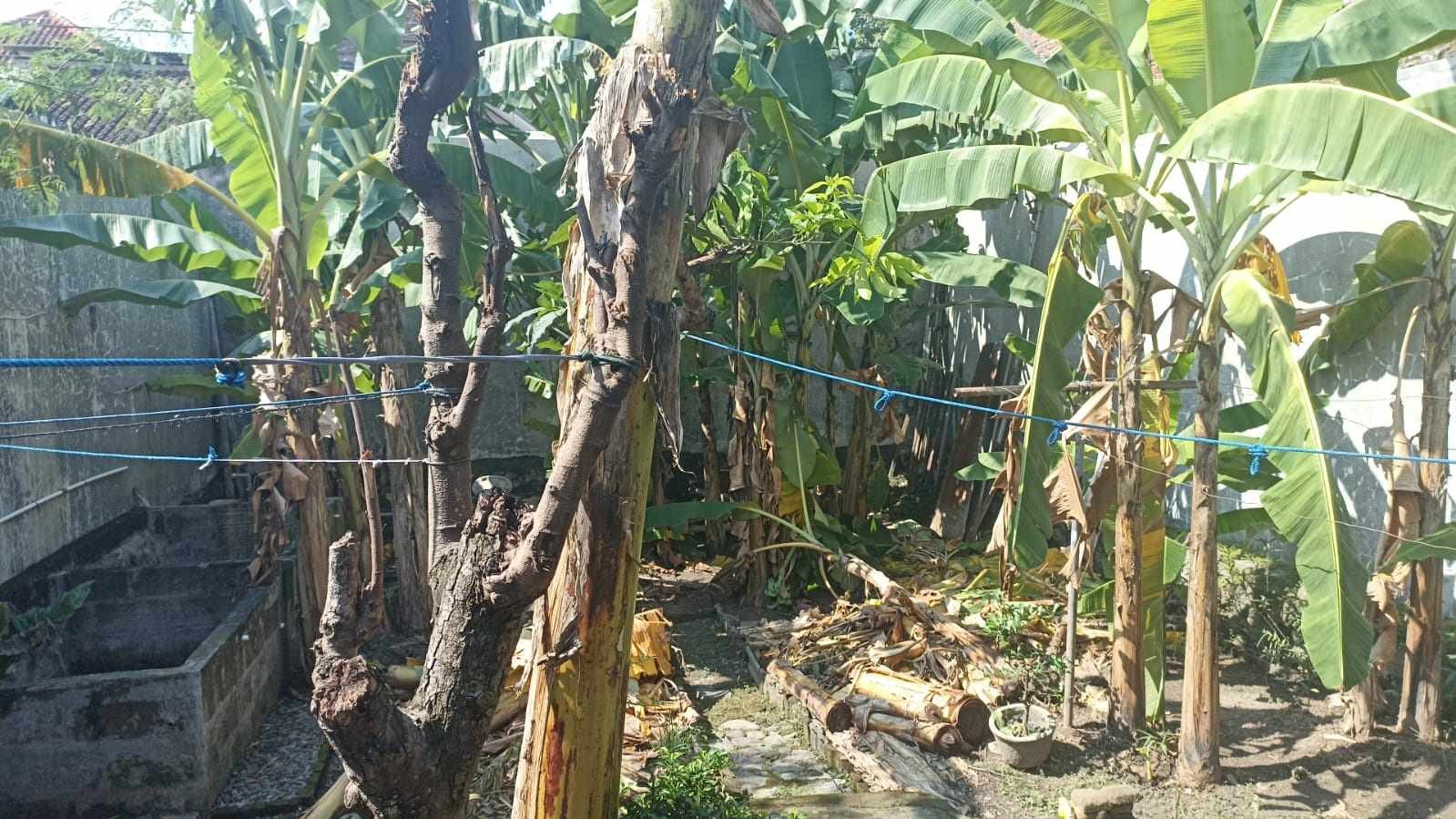 WhatsApp Image 2024-04-26 at 13.37.32