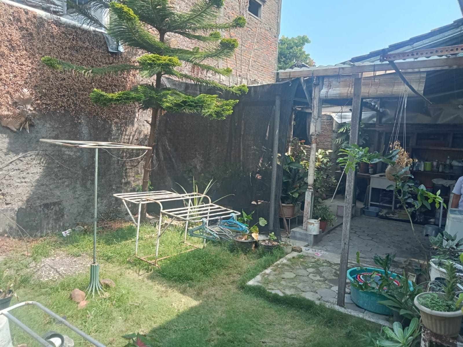 WhatsApp Image 2024-06-12 at 13.33.17 (1)