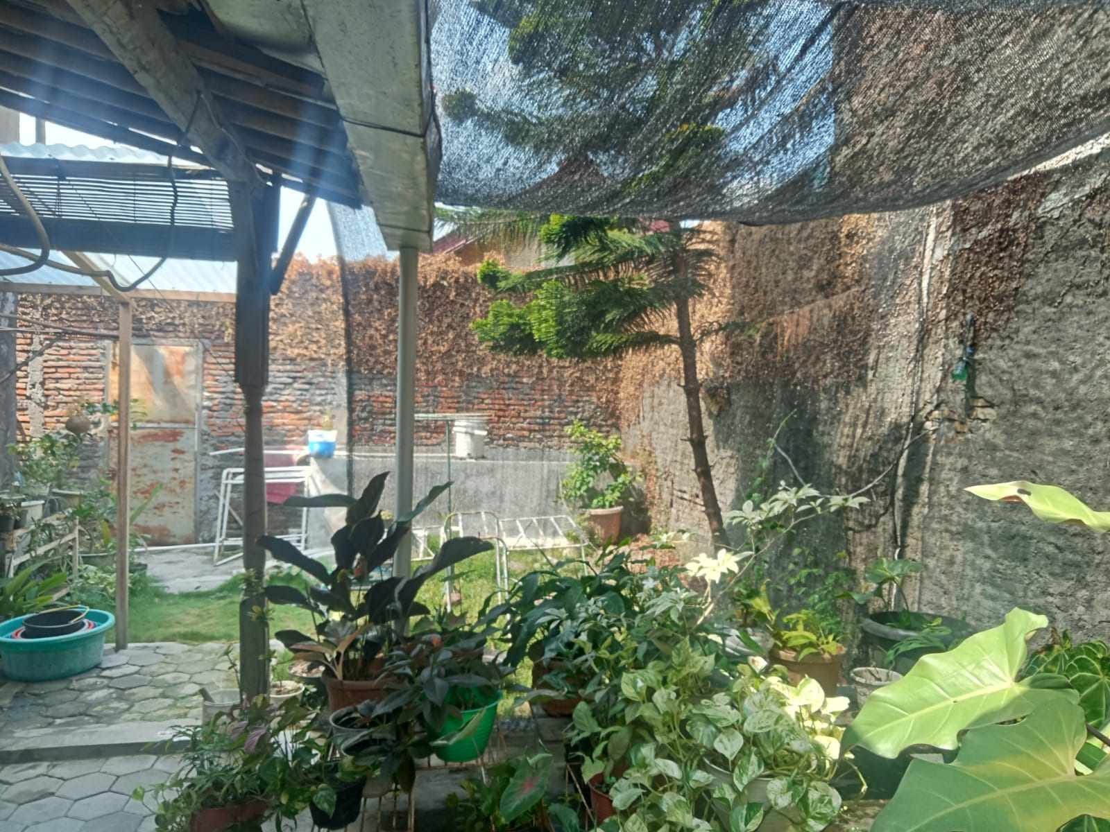 WhatsApp Image 2024-06-12 at 13.33.17