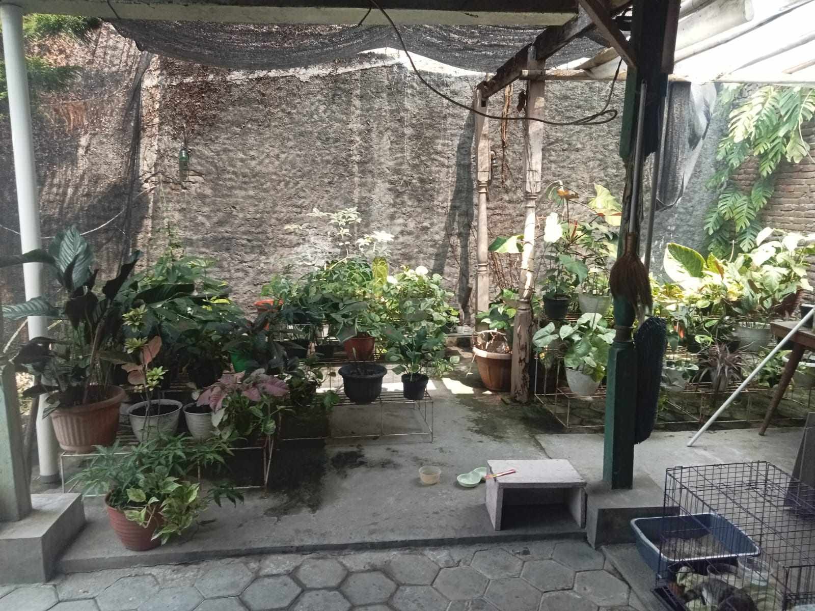 WhatsApp Image 2024-06-12 at 13.33.18