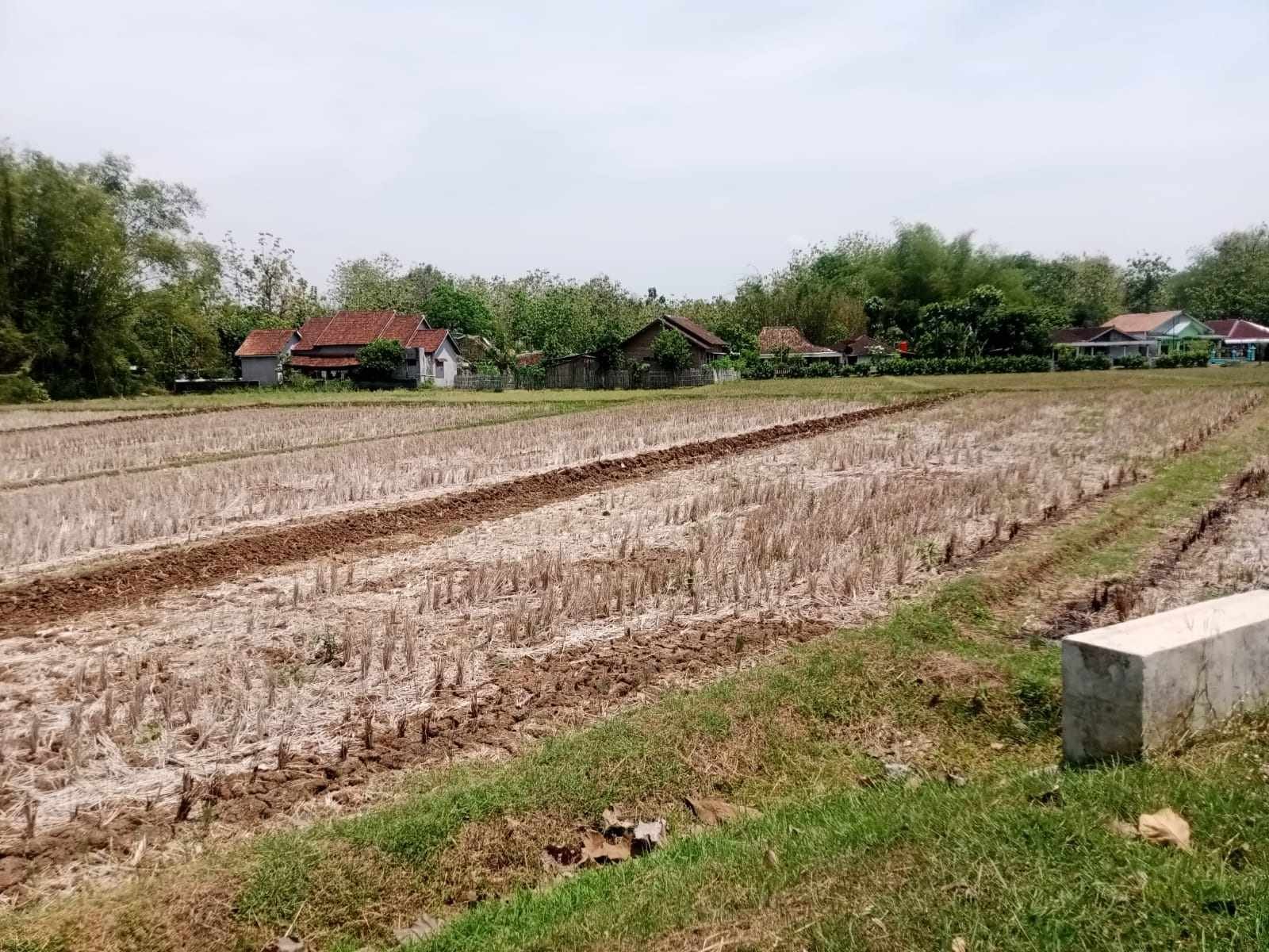 WhatsApp Image 2024-10-14 at 10.16.25 (1)