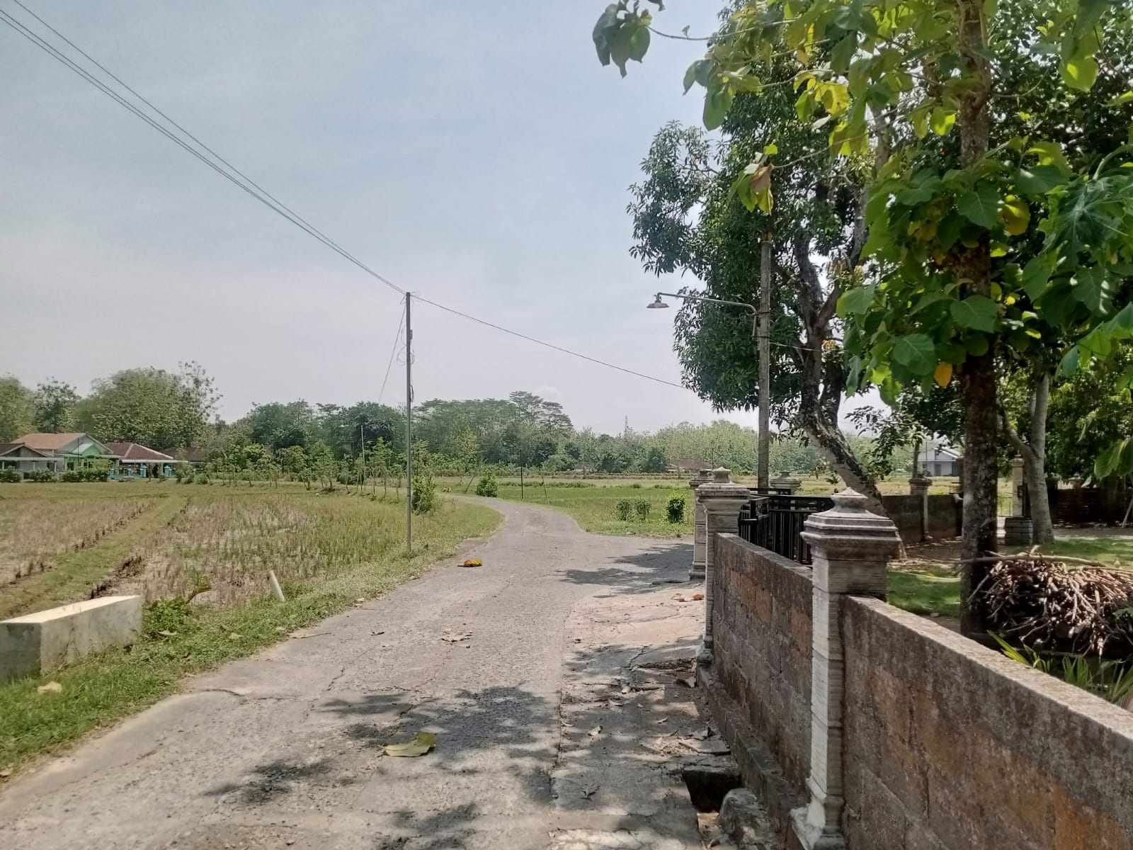 WhatsApp Image 2024-10-14 at 10.16.26