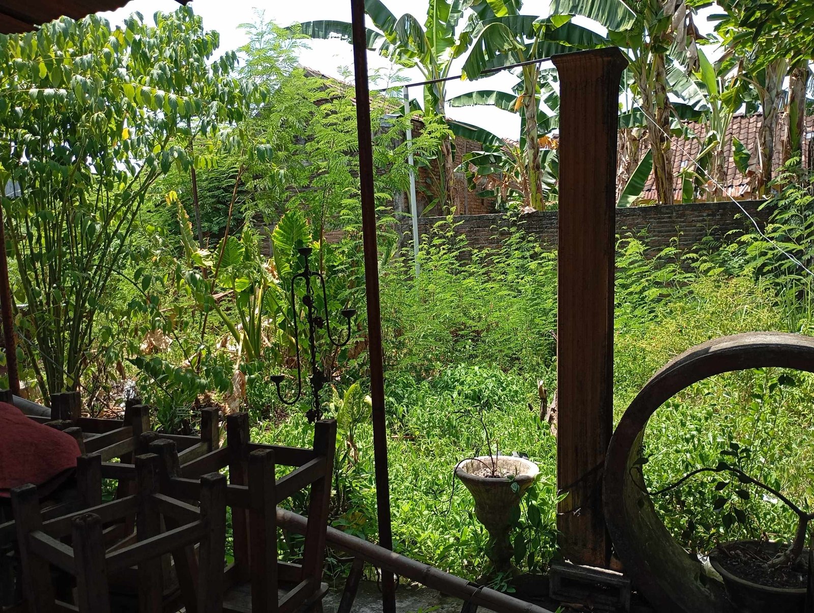 WhatsApp Image 2024-11-02 at 10.55.22 (1)