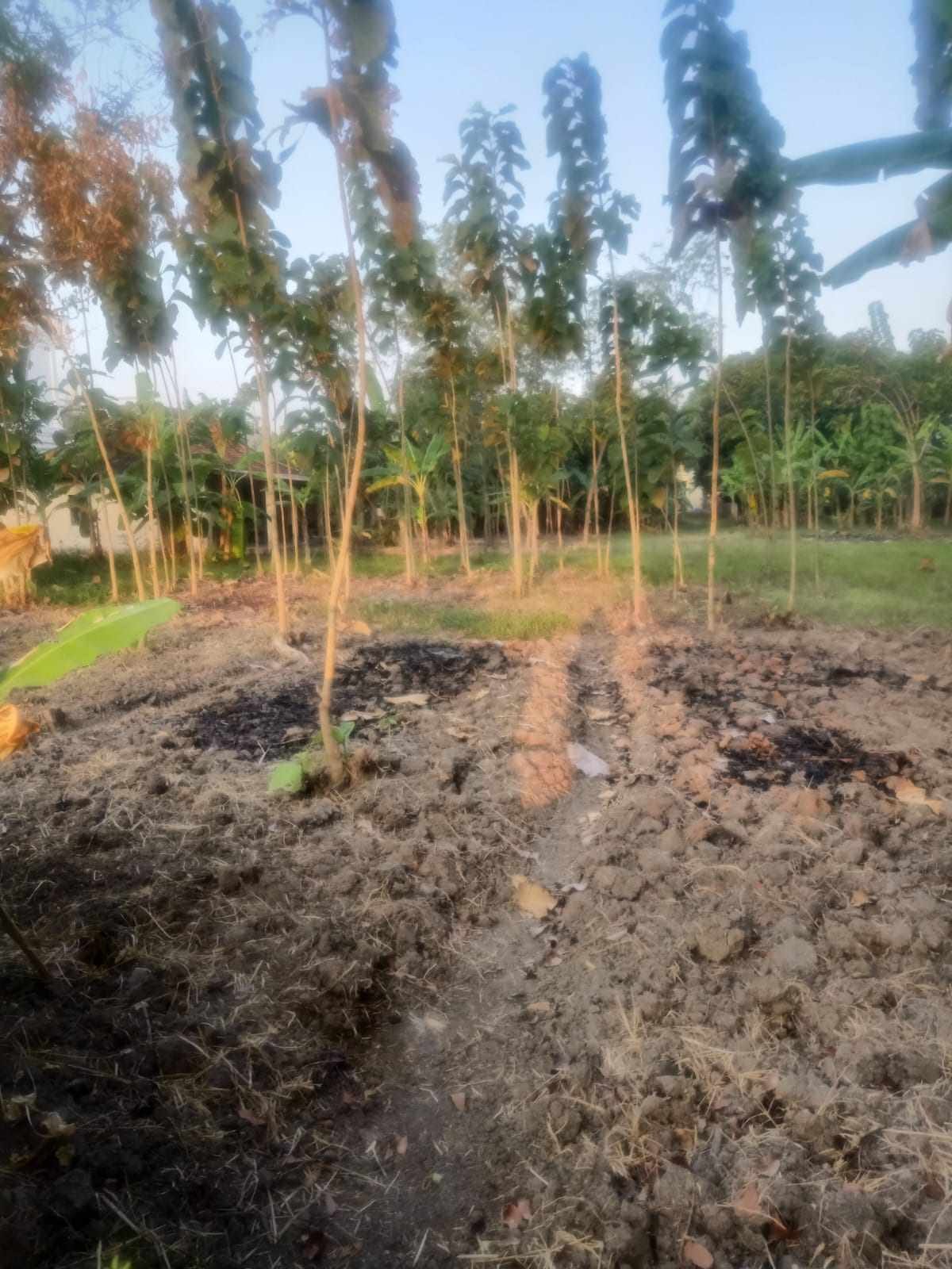 WhatsApp Image 2024-11-05 at 14.54.39