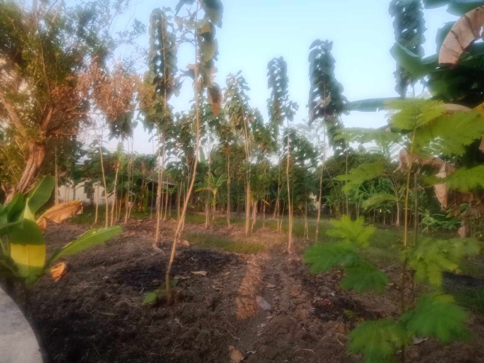 WhatsApp Image 2024-11-05 at 14.54.40