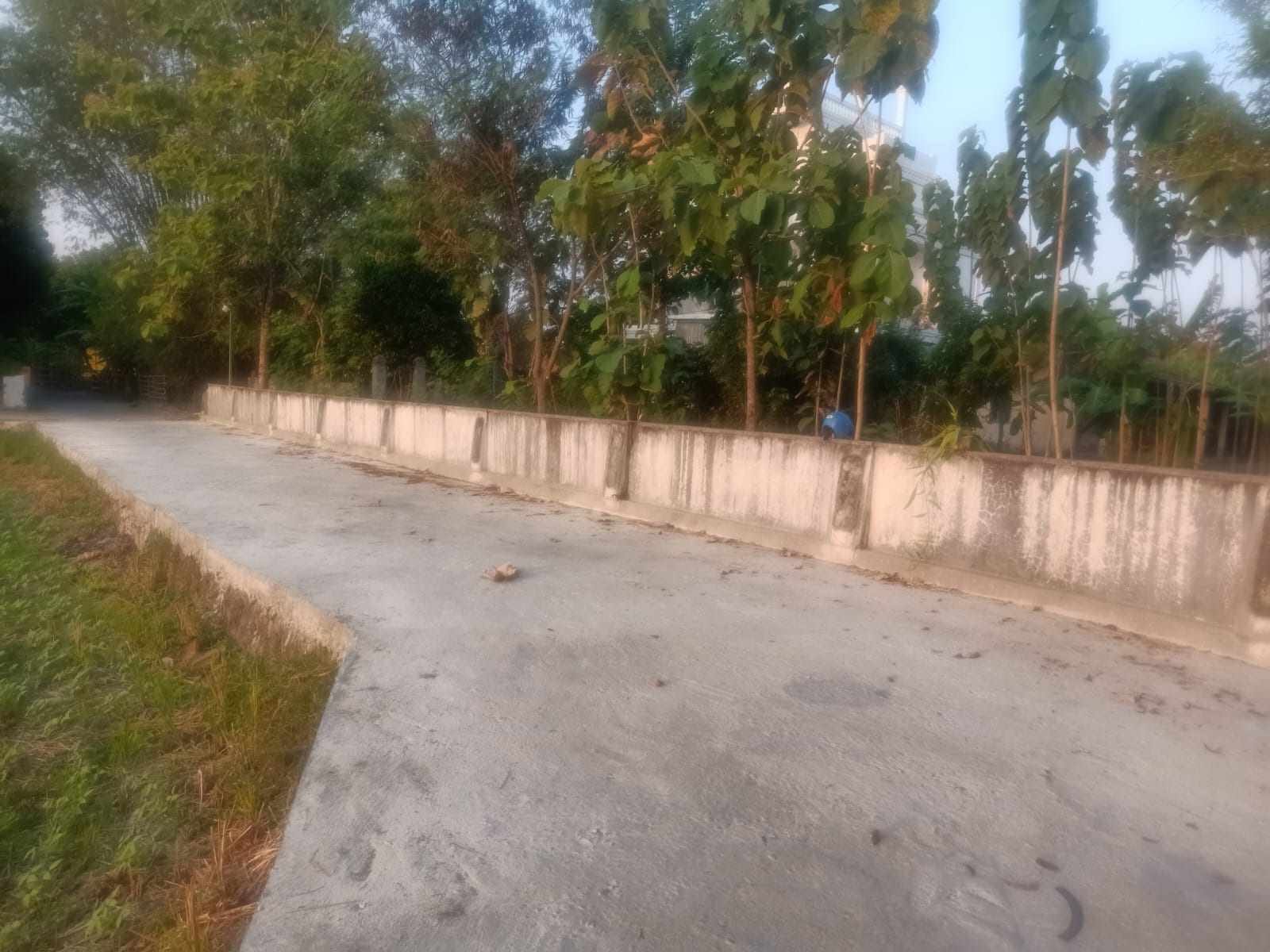 WhatsApp Image 2024-11-05 at 14.54.41