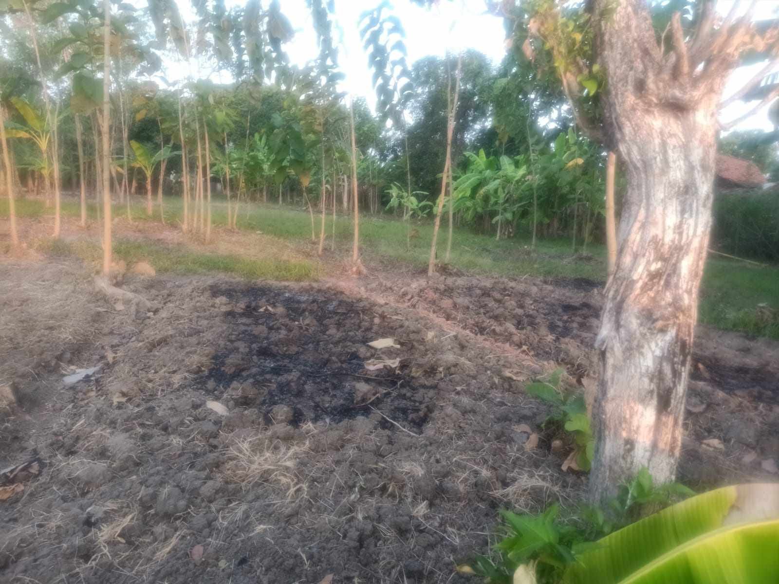 WhatsApp Image 2024-11-05 at 14.54.42