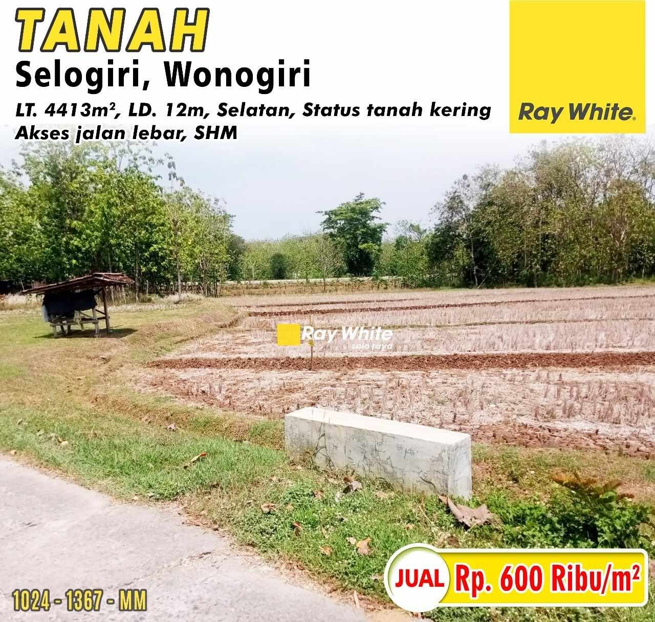 WhatsApp Image 2024-11-13 at 14.36.42