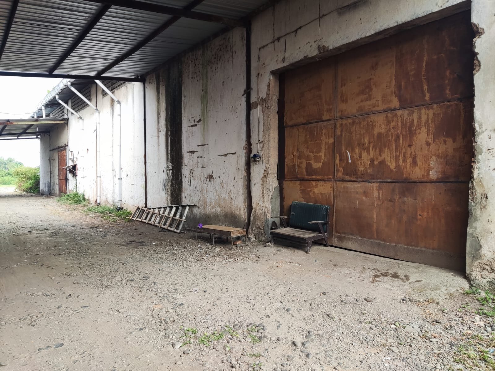 WhatsApp Image 2023-07-15 at 14.26.25