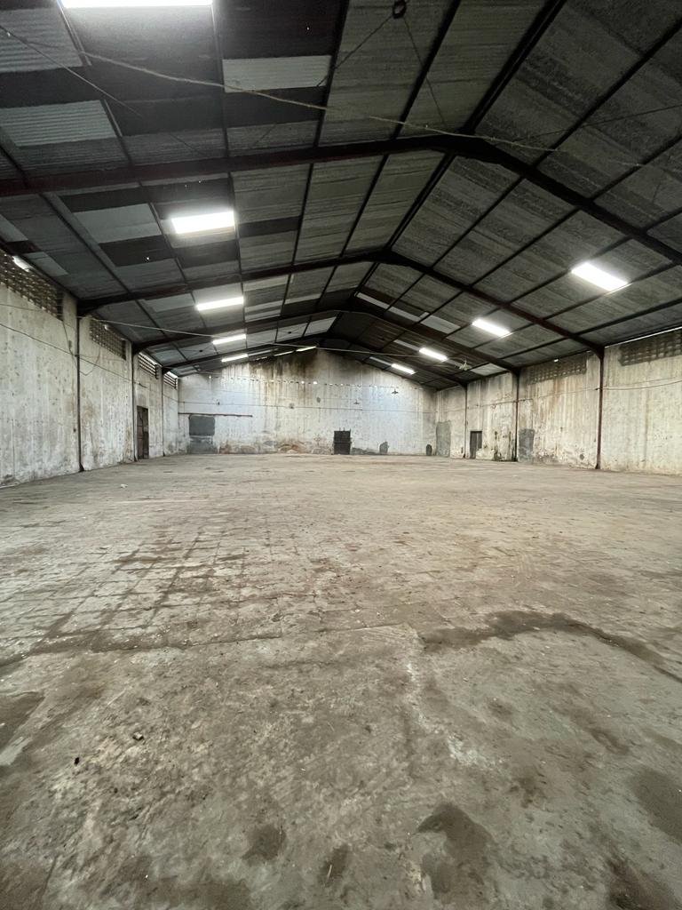 WhatsApp Image 2023-07-15 at 14.26.30