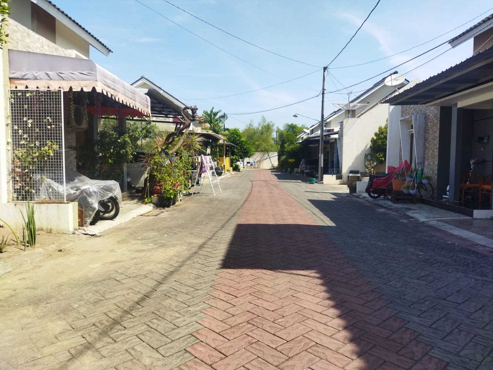 WhatsApp Image 2023-07-29 at 11.21.46 (2)