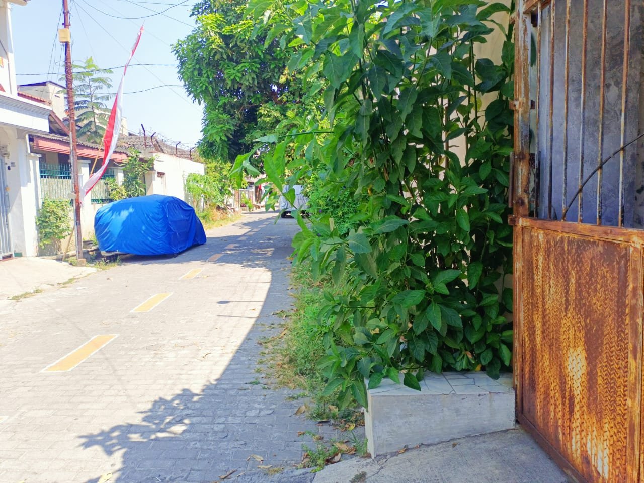 WhatsApp Image 2023-09-03 at 23.00.00