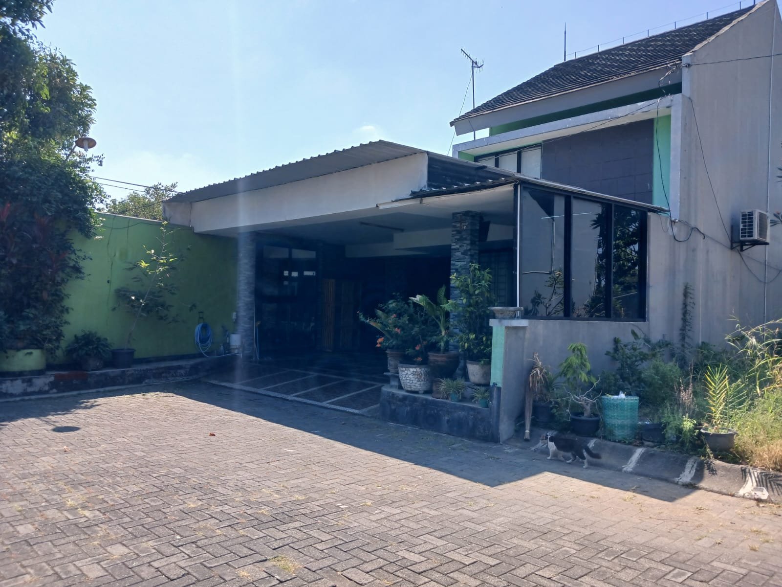 WhatsApp Image 2024-08-05 at 07.52.18