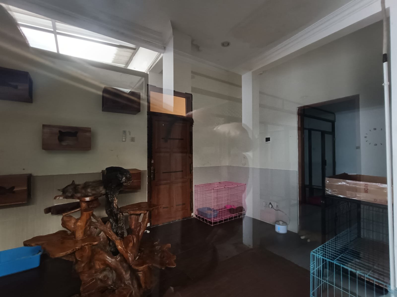 WhatsApp Image 2024-10-11 at 16.32.05