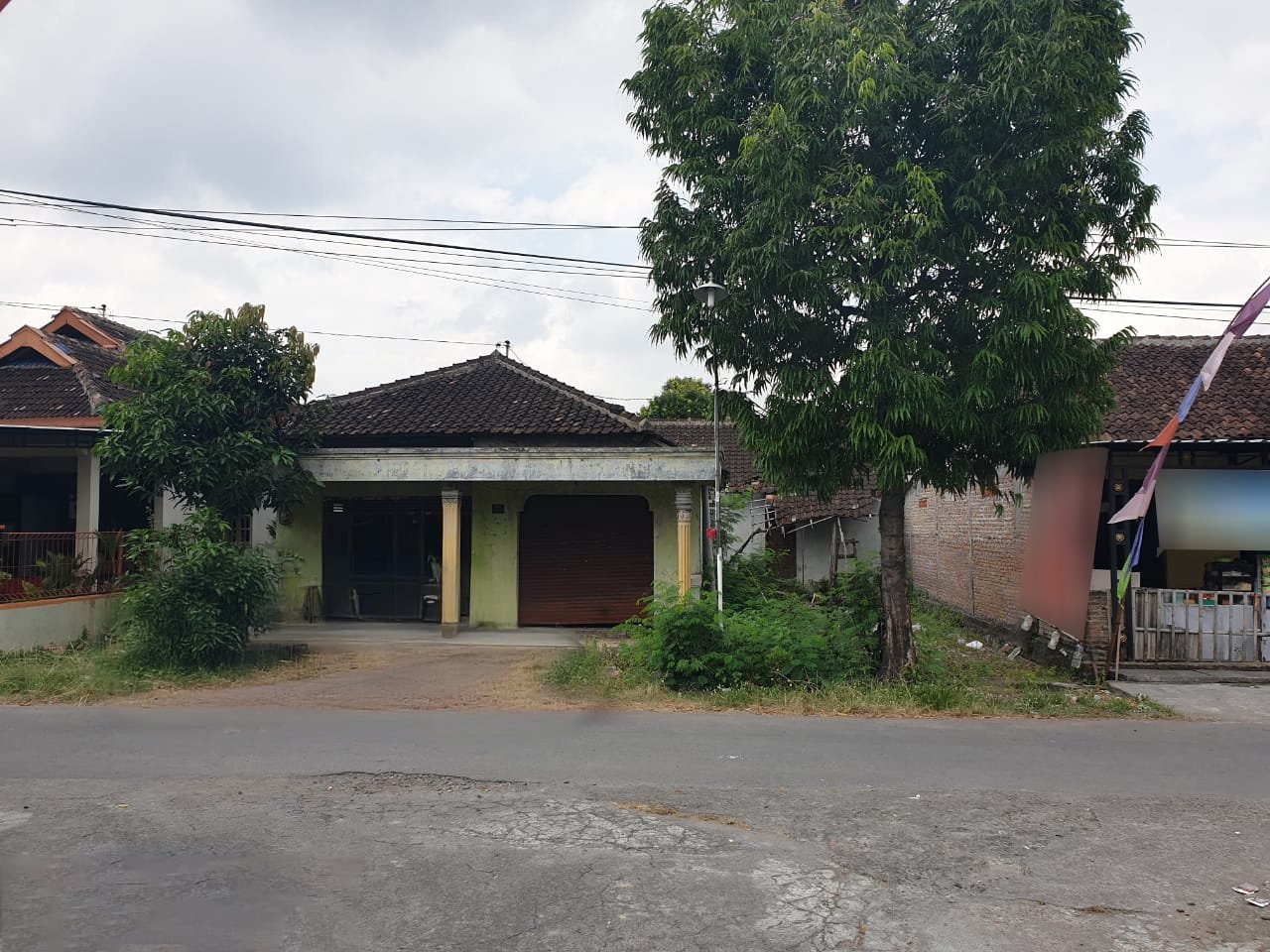 Firefly 20241011143524 copy