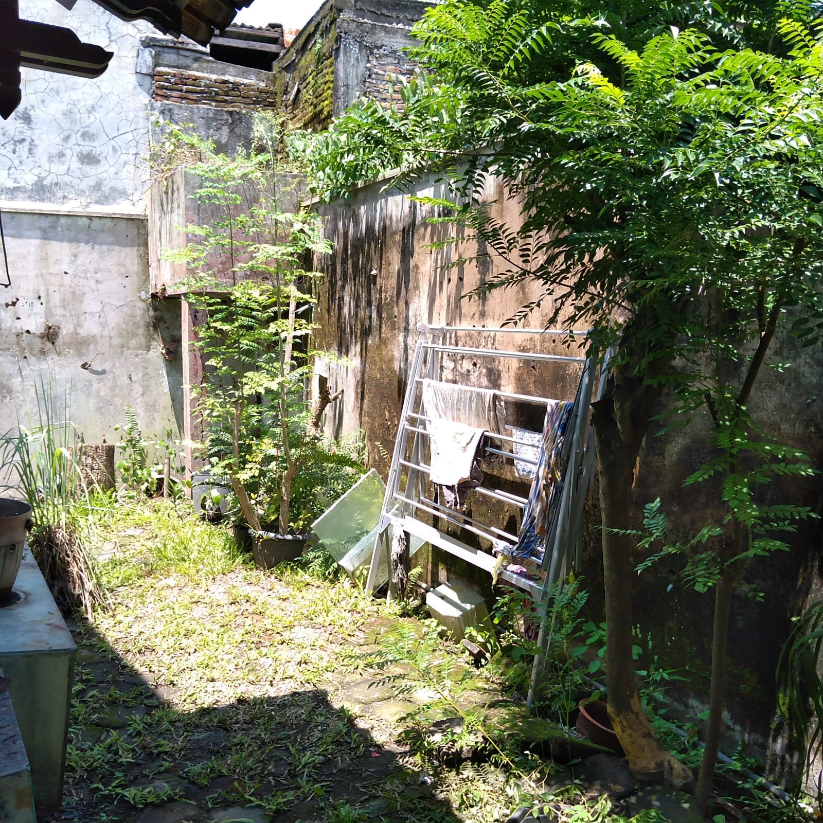 WhatsApp Image 2021-12-06 at 5.20.16 AM (1)