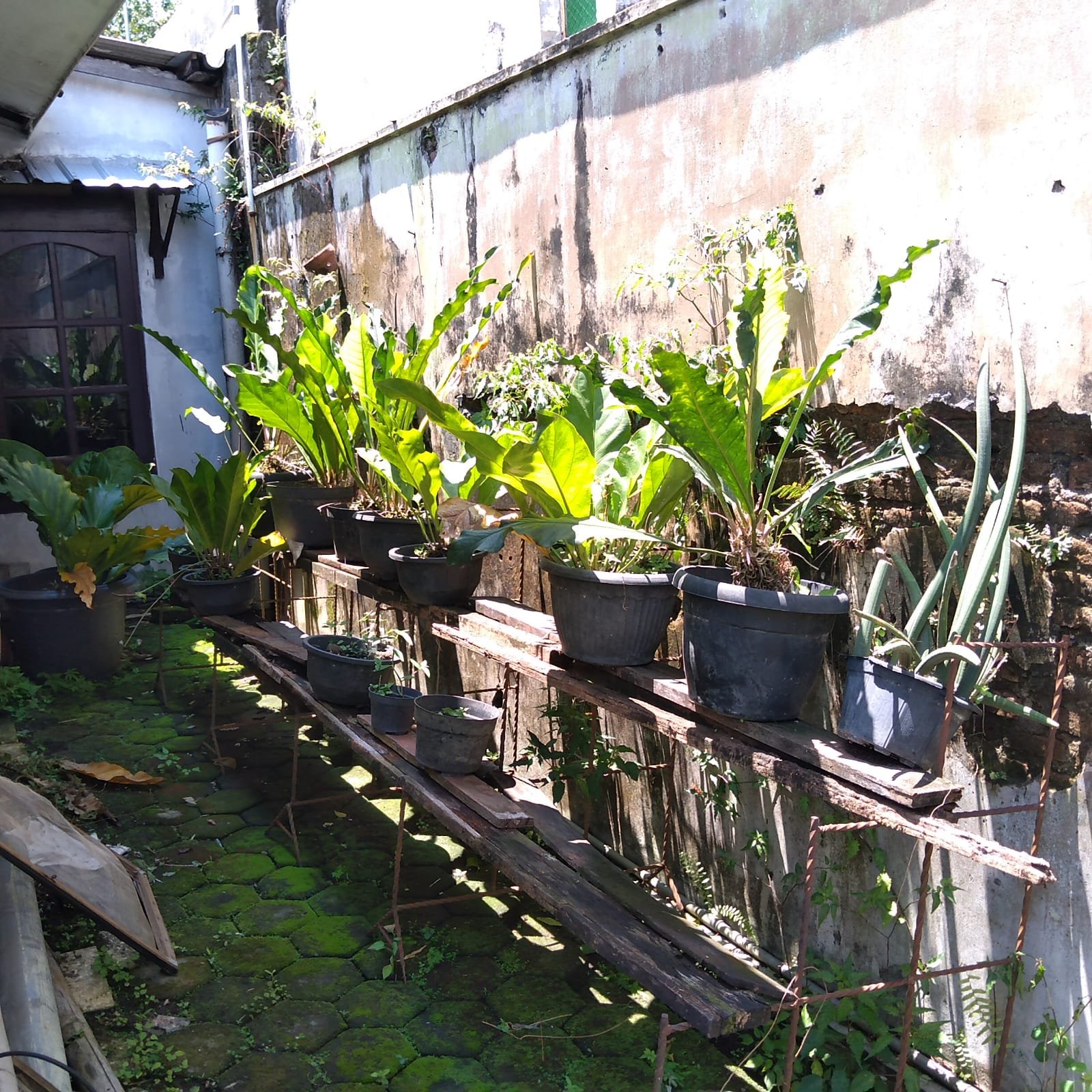 WhatsApp Image 2021-12-06 at 5.20.16 AM (2)