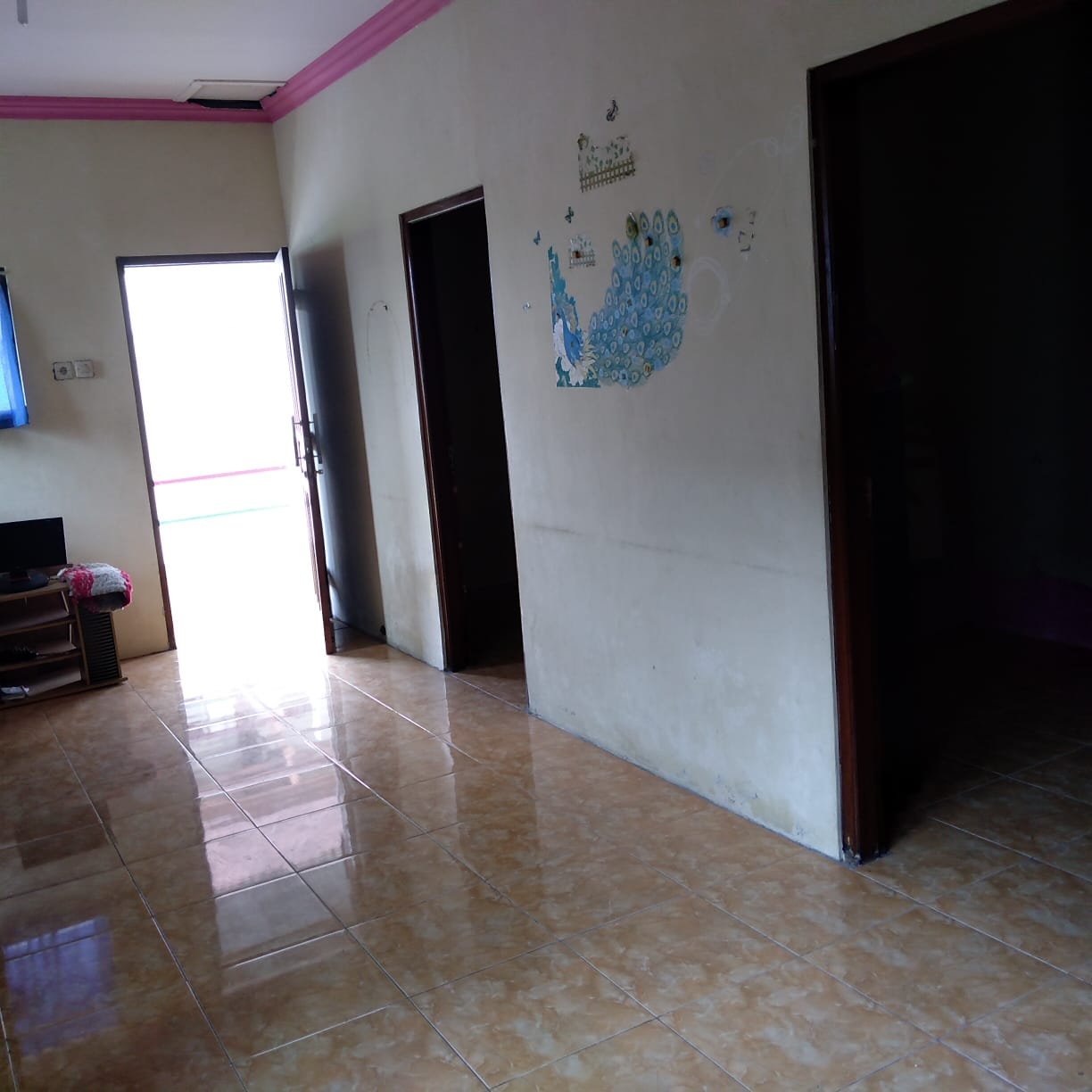 WhatsApp Image 2022-04-16 at 12.10.46 PM