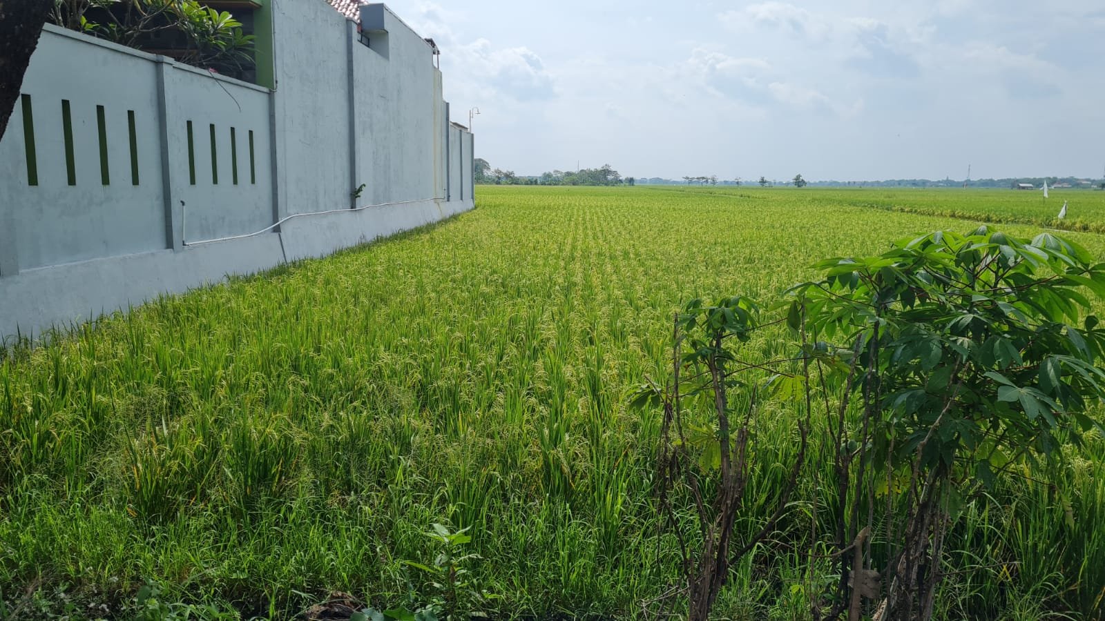 WhatsApp Image 2022-06-23 at 2.48.46 PM