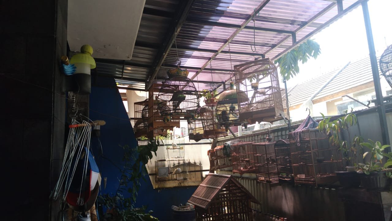 WhatsApp Image 2022-08-06 at 15.02.50