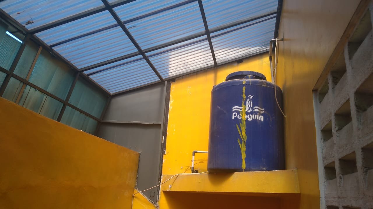 WhatsApp Image 2022-08-06 at 15.02.53 (1)