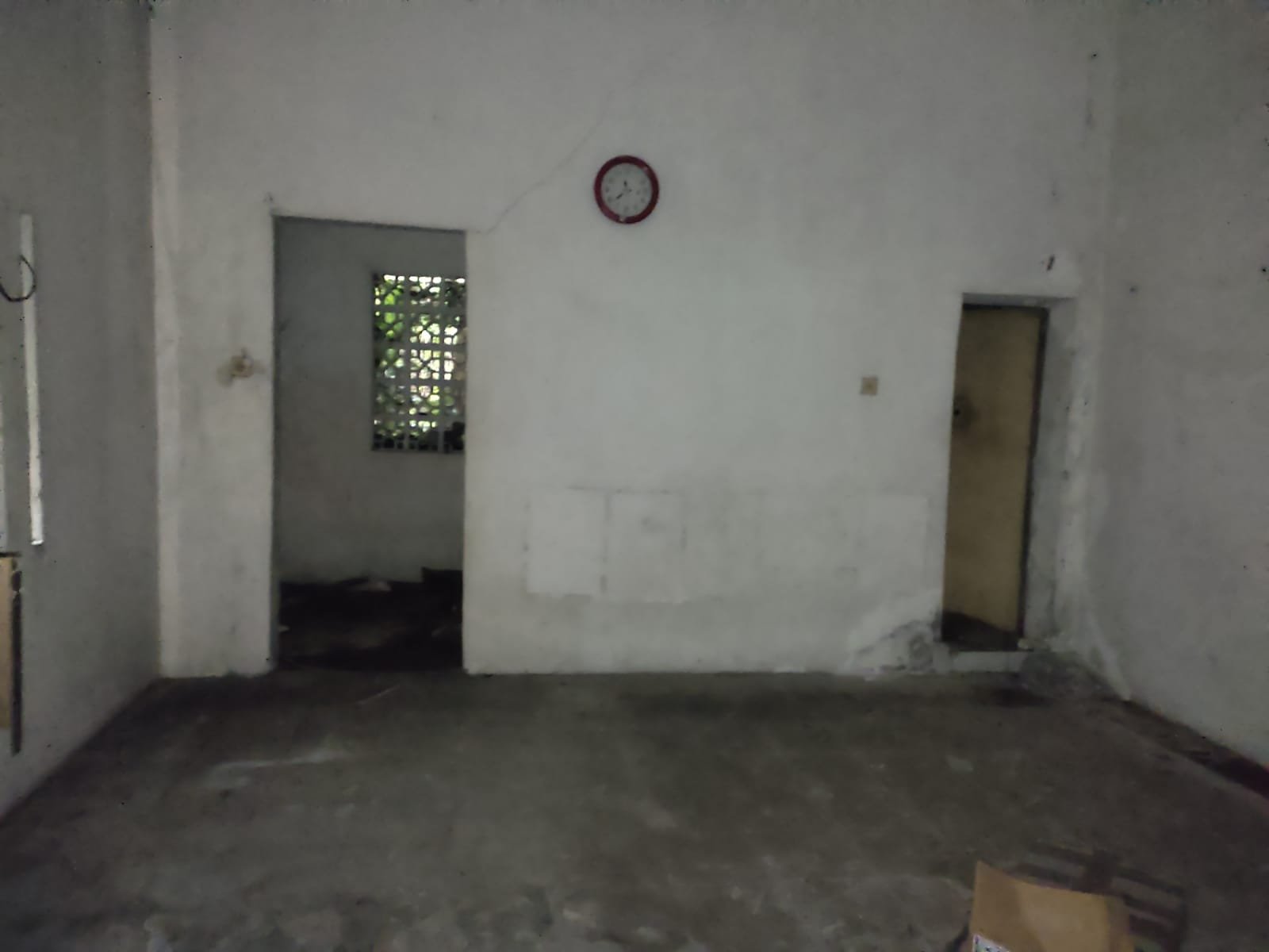 WhatsApp Image 2022-10-26 at 13.46.42