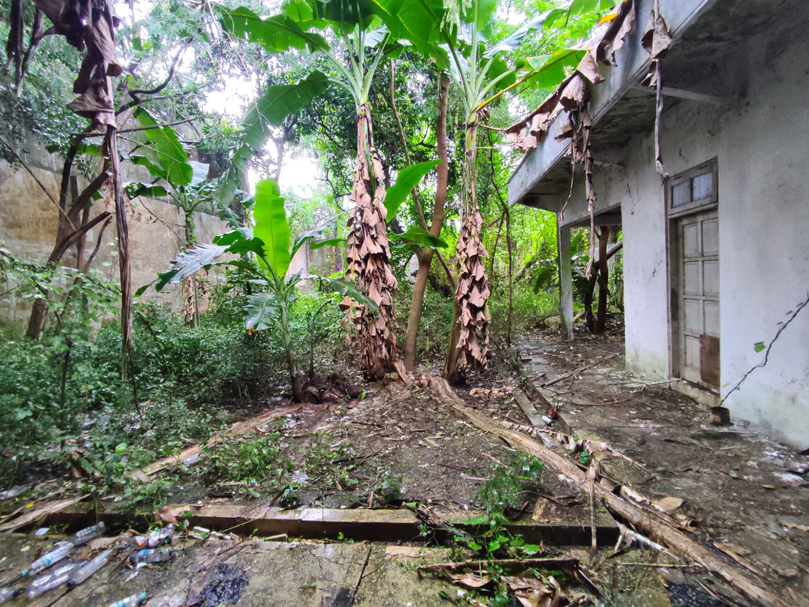 WhatsApp Image 2022-10-26 at 13.46.43