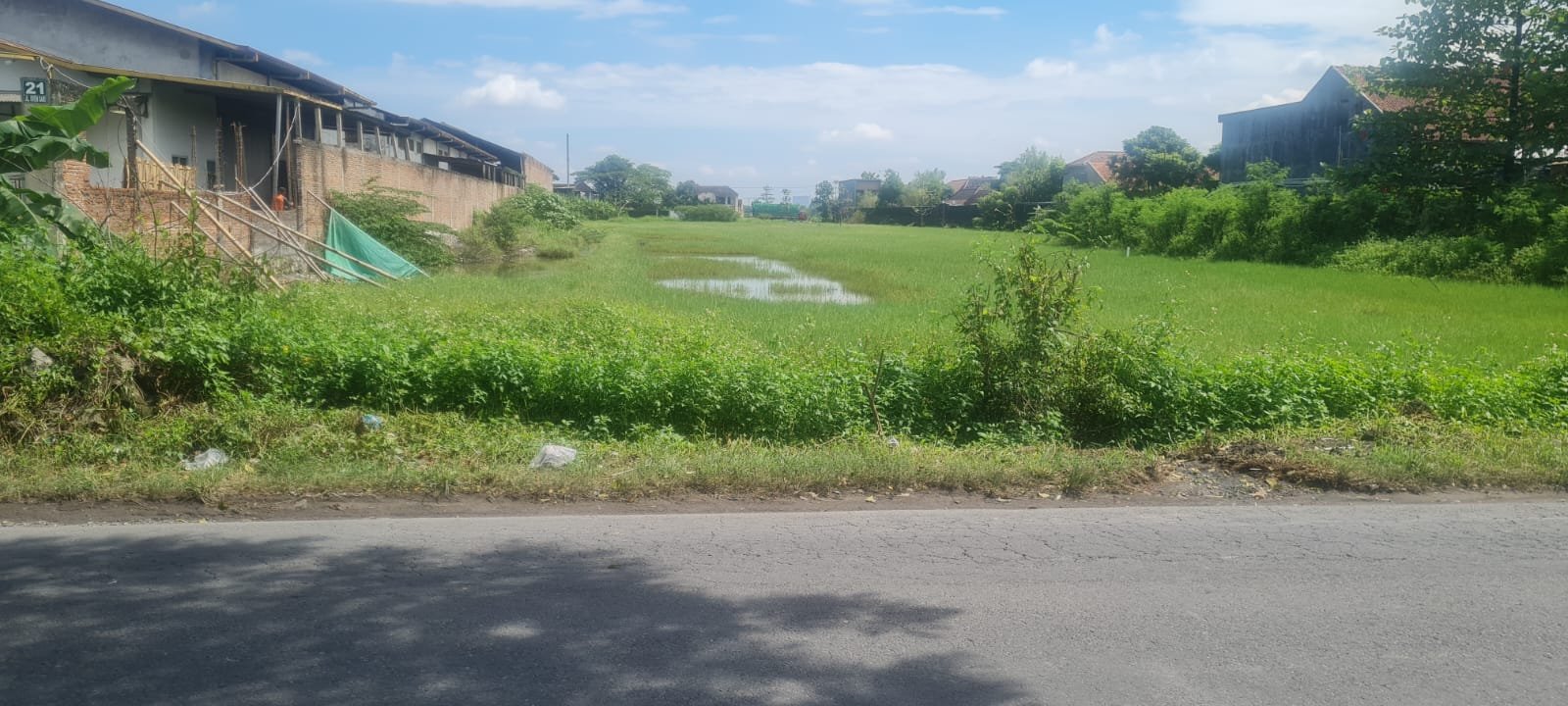 WhatsApp Image 2023-03-03 at 2.35.53 PM(1)